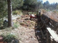 /album/photogallery/week1-005-jpg/
